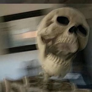 Meet your Posher, Will